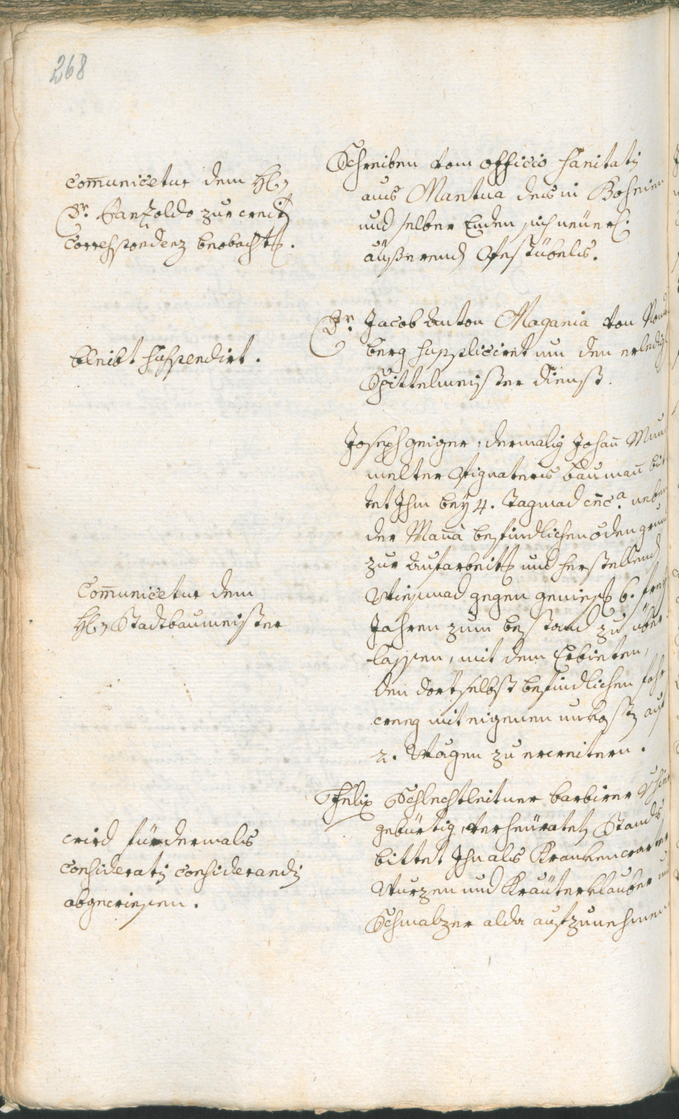 Archivio Storico della Città di Bolzano - BOhisto protocollo consiliare 1765/68 