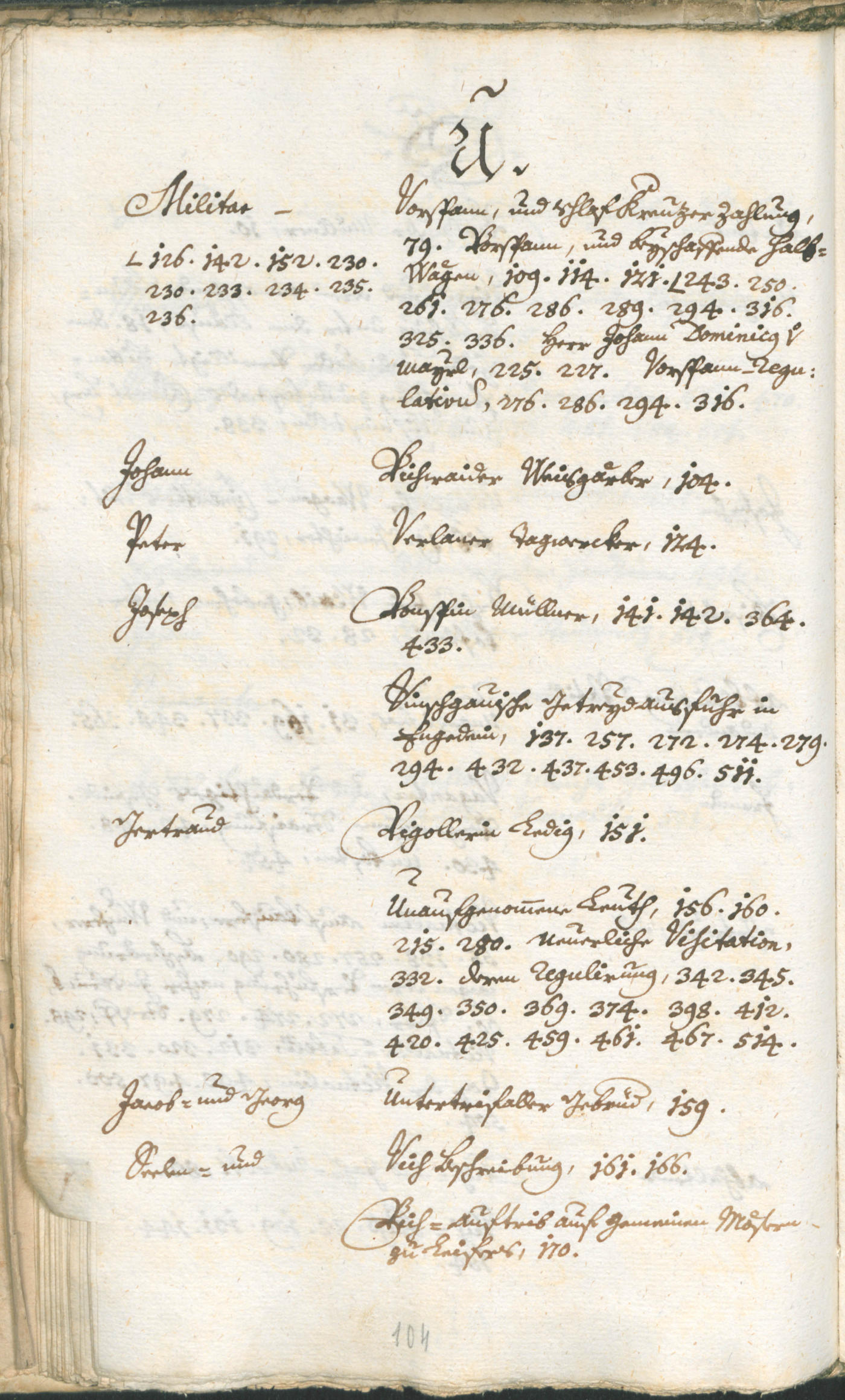 Civic Archives of Bozen-Bolzano - BOhisto Ratsprotokoll 1765/68 