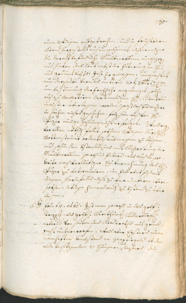 Civic Archives of Bozen-Bolzano - BOhisto Ratsprotokoll 1768/71 