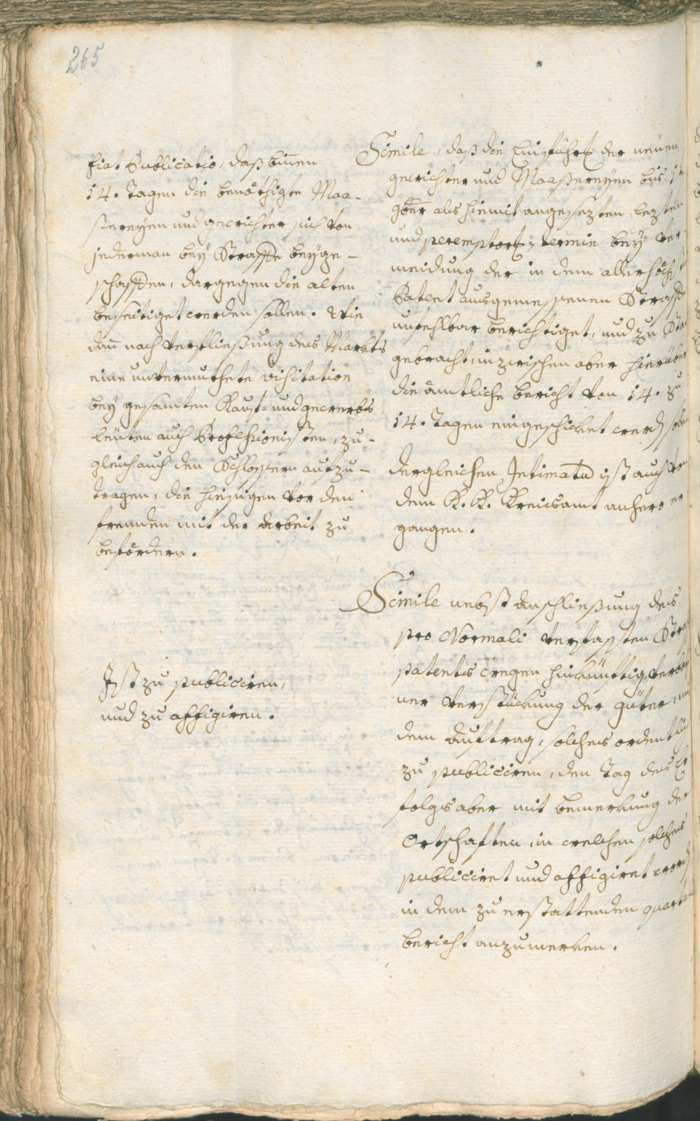 Civic Archives of Bozen-Bolzano - BOhisto Ratsprotokoll 1768/71 