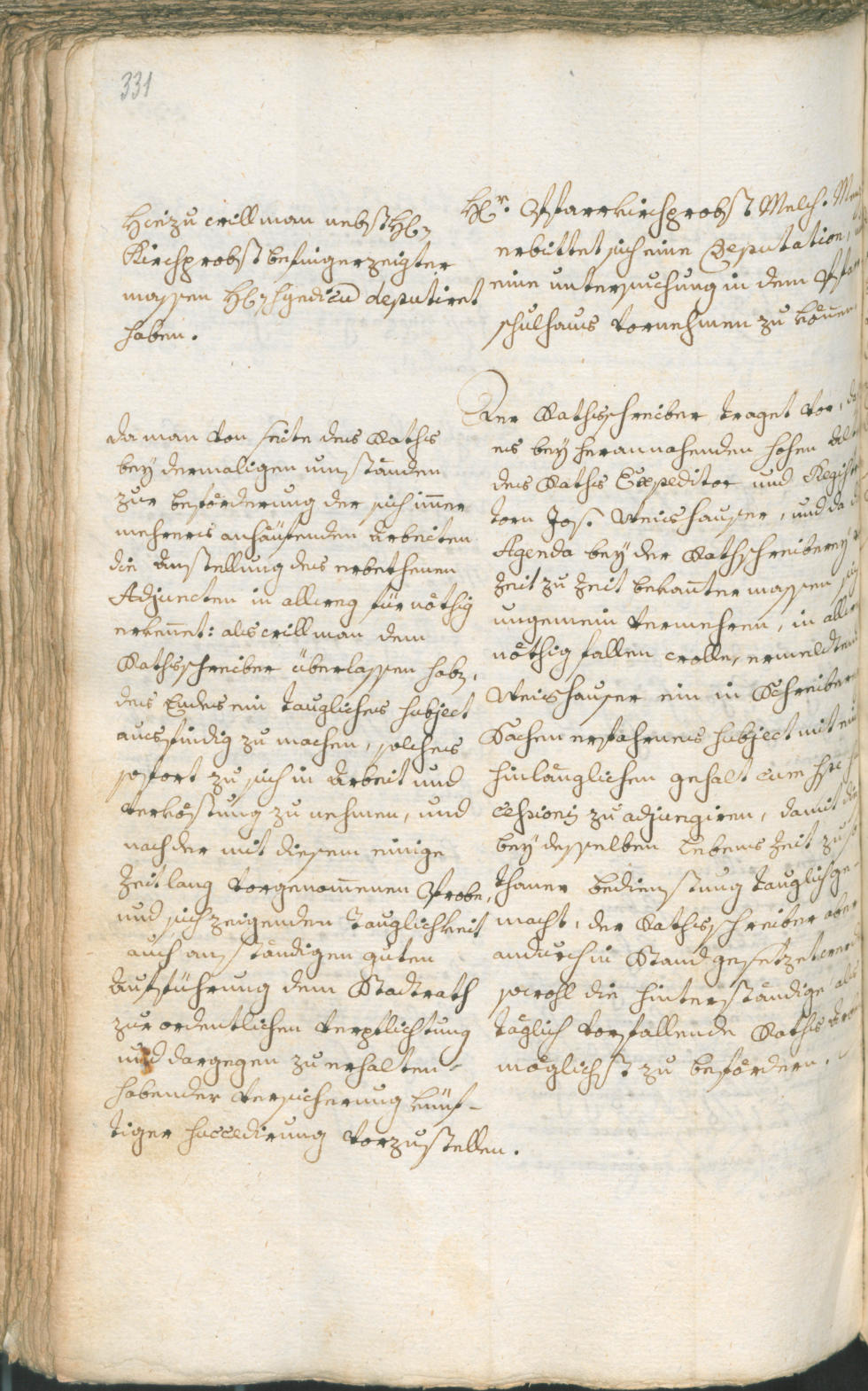 Civic Archives of Bozen-Bolzano - BOhisto Ratsprotokoll 1768/71 